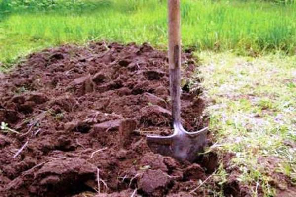 лопаты для земляных работ