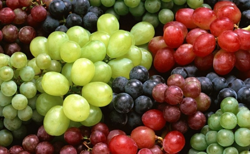 Сорта и виды винограда